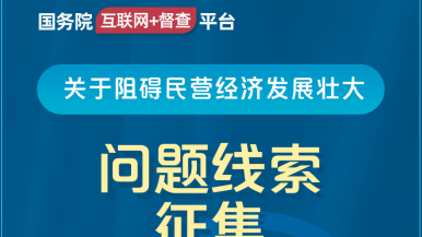 www、我xxxxx你呢逼国务院“互联网+督查”平台公开征集阻碍民营经济发展壮大问题线索